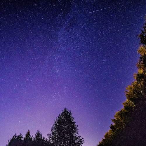 Photo #11851989