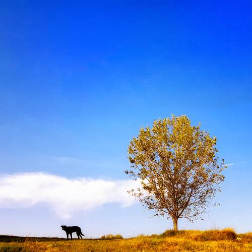 Photo #11852024