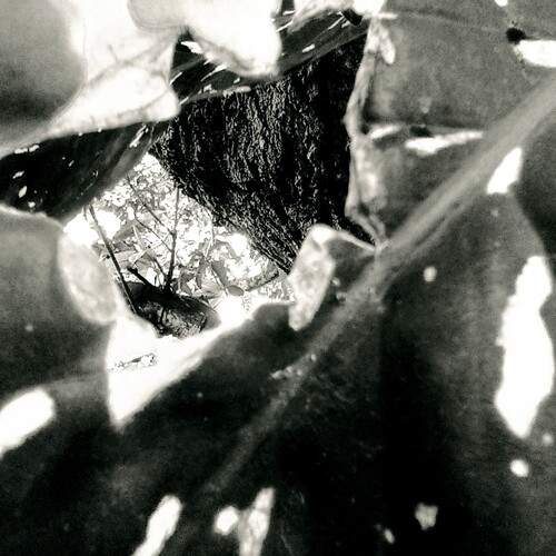 Photo #11852348