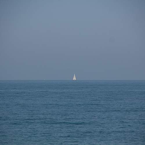 Photo #11852426