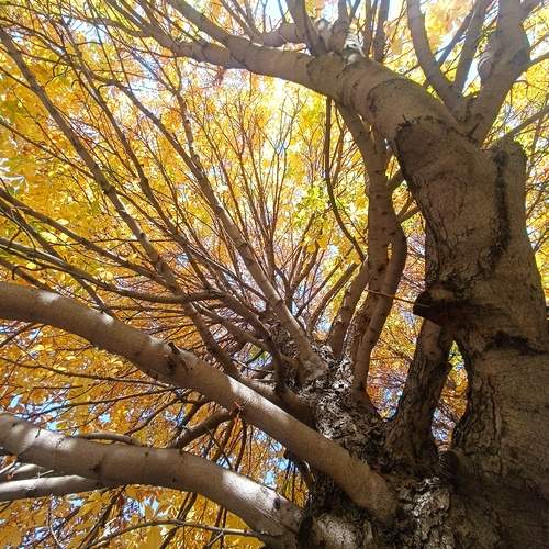 Photo #11852577