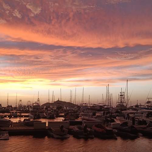Photo #11852651