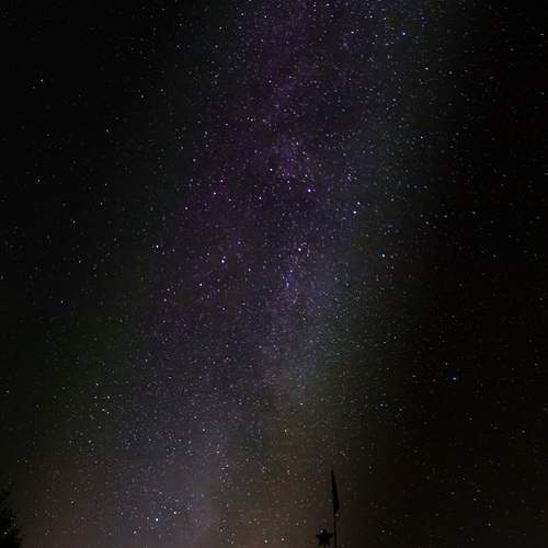 Photo #11852949