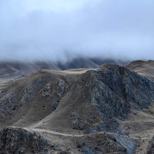 Photo #11852958