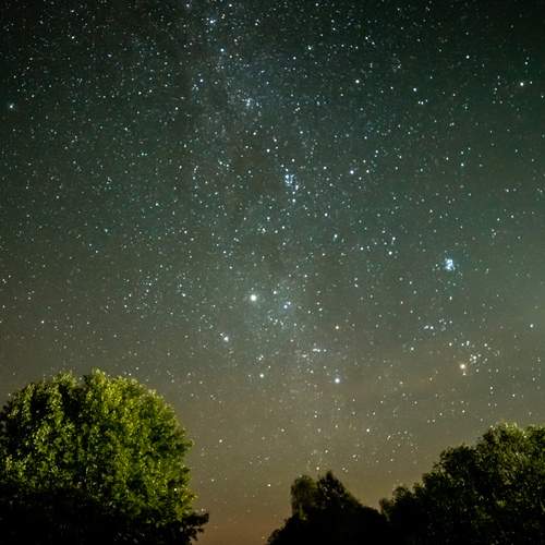 Photo #11852974