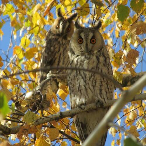 Photo #11853400
