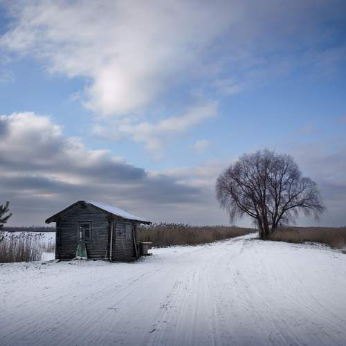Photo #11853520