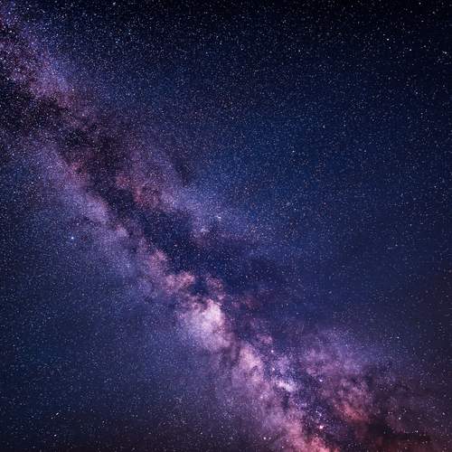 Photo #11853817
