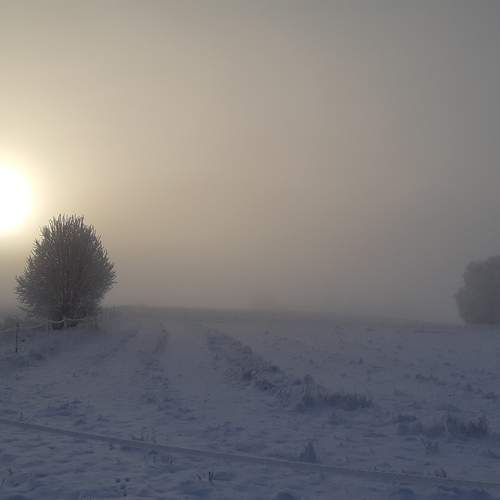 Photo #11853858