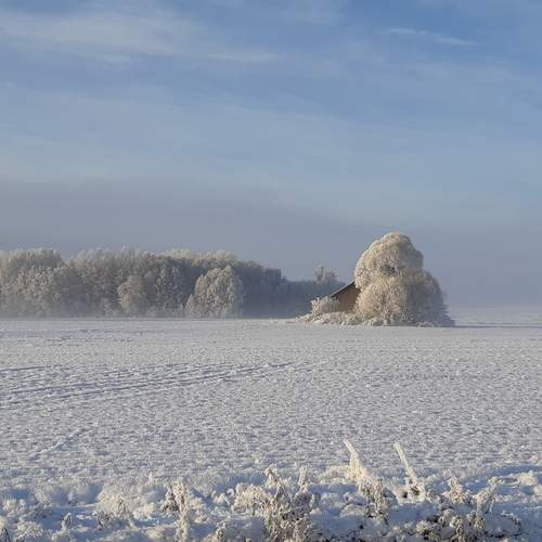 Photo #11853860