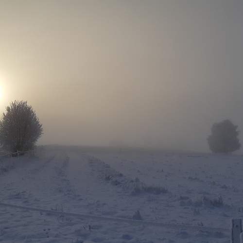 Photo #11853869