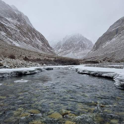 Photo #11853883