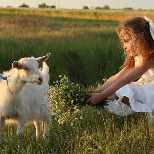 Photo #11853938
