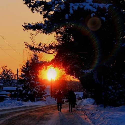 Photo #11854020