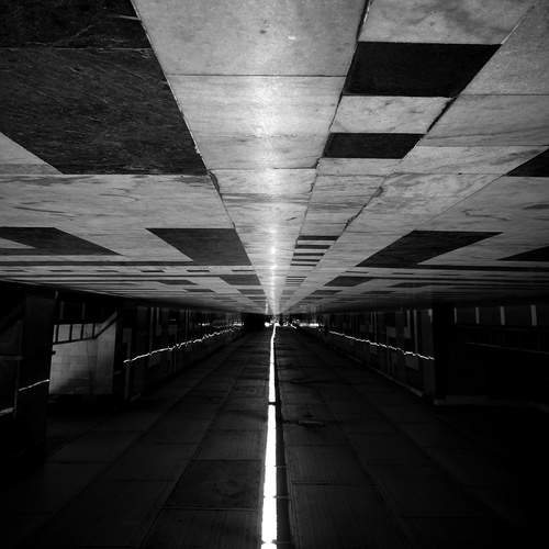 Photo #11854254