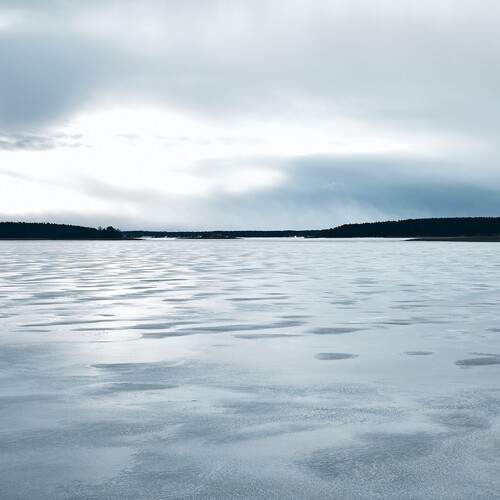 Photo #11854487