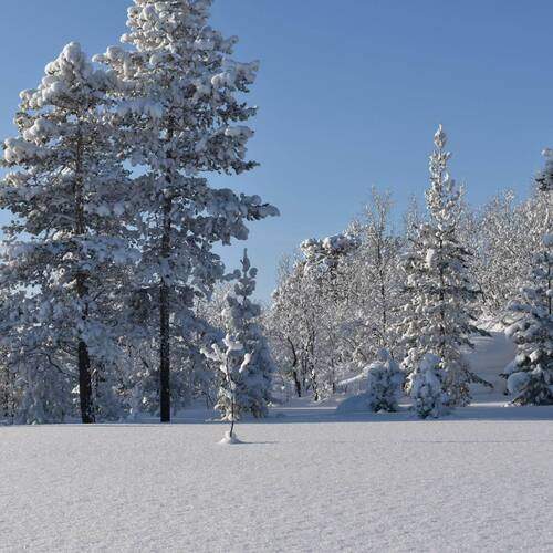 Photo #11854494