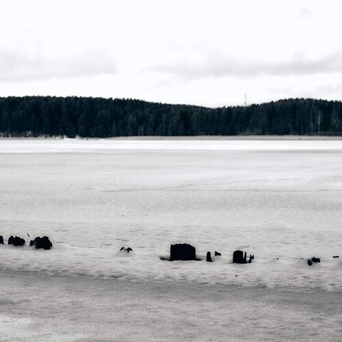 Photo #11854503