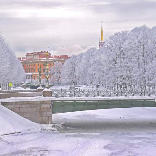 Photo #11854629