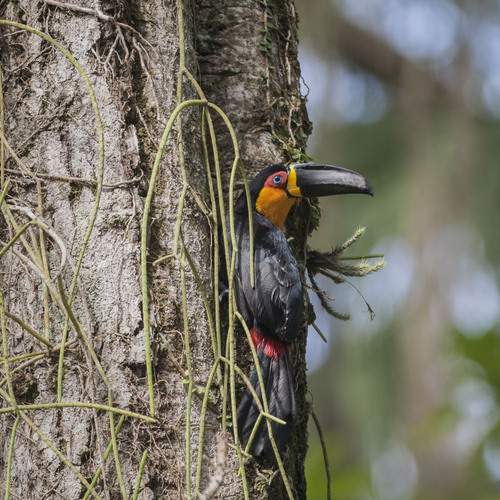 Фотография #11854792