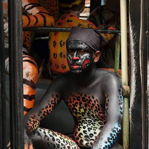 Photo #11854884
