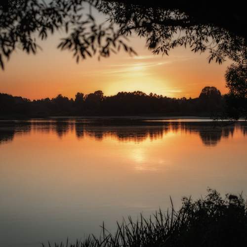 Photo #11855005