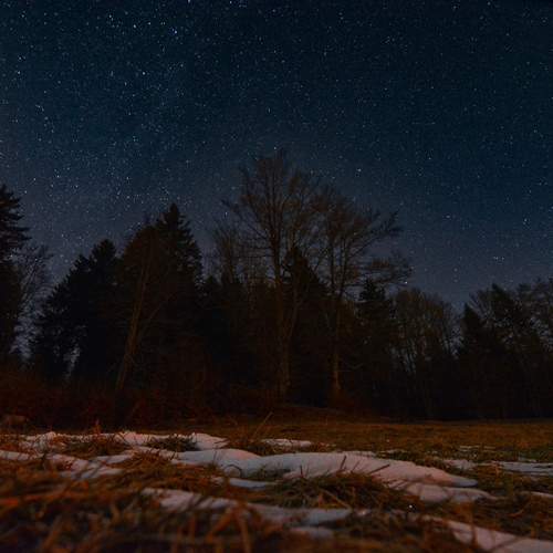 Photo #11855186