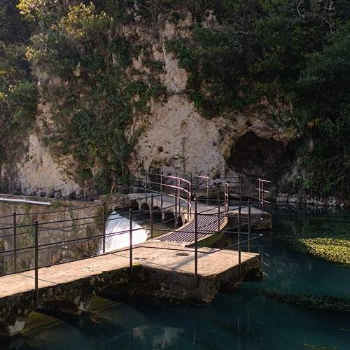 Photo #11855238