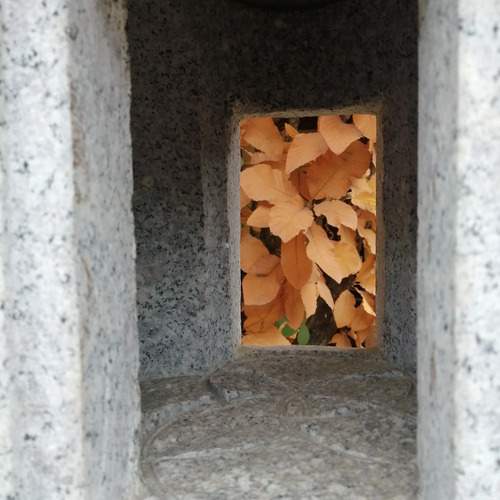 Photo #11855244