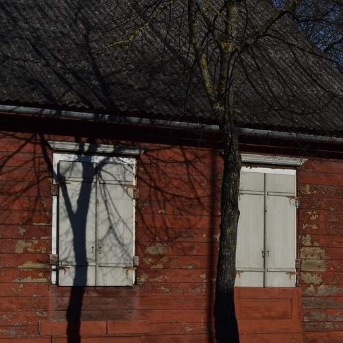 Photo #11855305