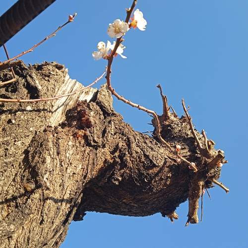Photo #11855456