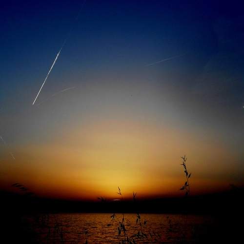 Photo #11855491