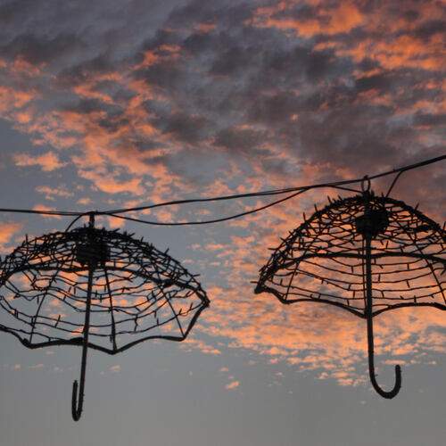 Photo #11855495