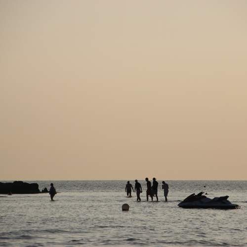Photo #11855498