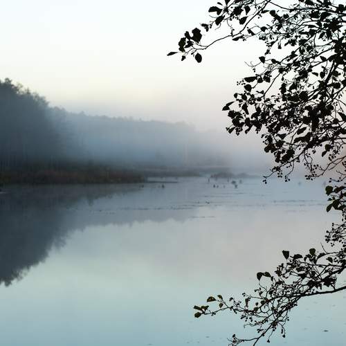 Photo #11855562