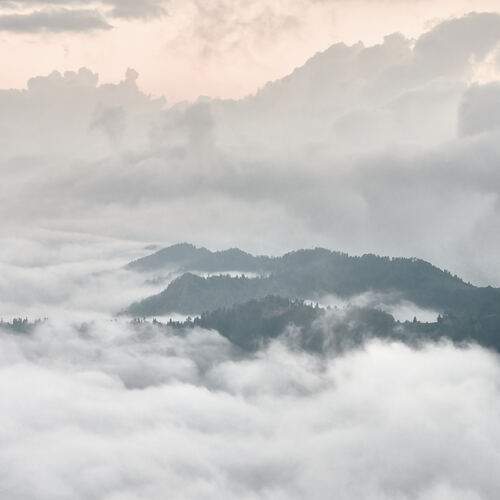 Photo #11855743