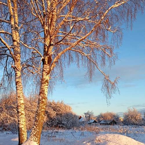 Photo #11855971