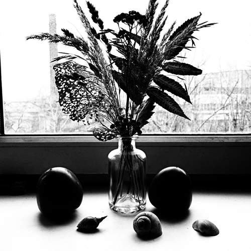 Photo #11856002