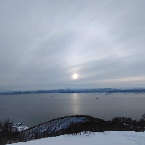 Photo #11856046