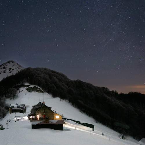Photo #11856170