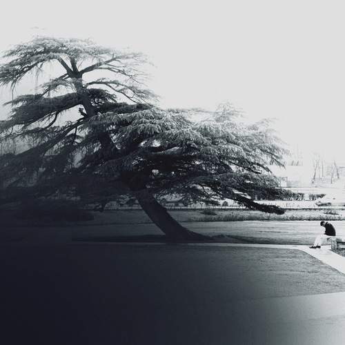 Photo #11856199
