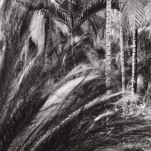 Photo #11856275