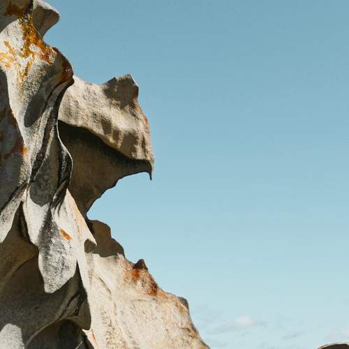 Photo #11856626