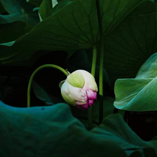 Photo #11856644