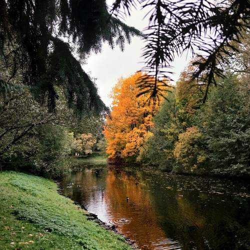 Photo #11856825