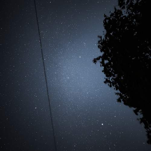 Photo #11856860