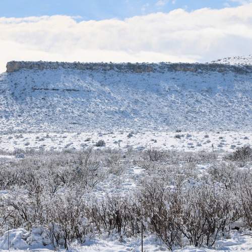Snow on the Mountain