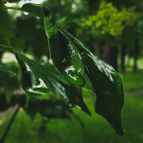 Photo #11857019