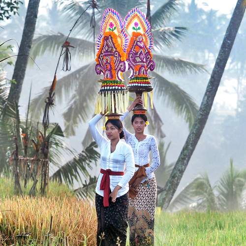 Photo #11857037