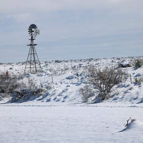Photo #11857043